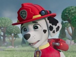 Paw Patrol, la Pat'Patrouille Paw Patrol, la Pat'Patrouille