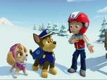 Paw Patrol, la Pat'Patrouille
