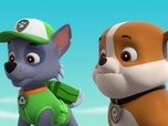 Paw Patrol, la Pat'Patrouille