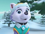 Paw Patrol, la Pat'Patrouille
