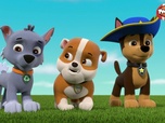 Paw Patrol, la Pat'Patrouille