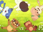 Taki Tanuki Taki Tanuki