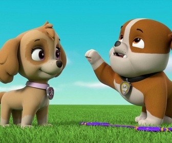 Paw Patrol, la Pat'Patrouille - Le sauvetage des parachutistes