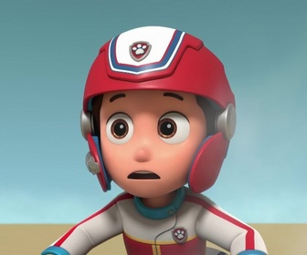 Paw Patrol, la Pat'Patrouille - Toilettage à domicile