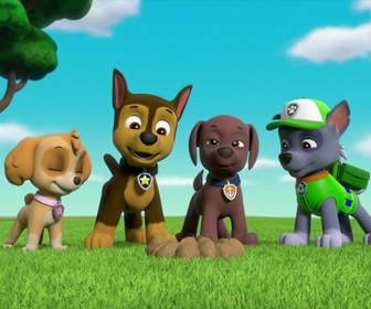 Paw Patrol, la Pat'Patrouille - Deux maires en détresse