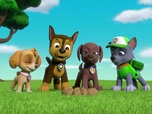 Paw Patrol, la Pat'Patrouille