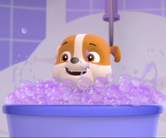 Paw Patrol, la Pat'Patrouille - Le mariage