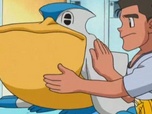 Pokémon