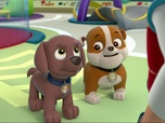 Paw Patrol, la Pat'Patrouille