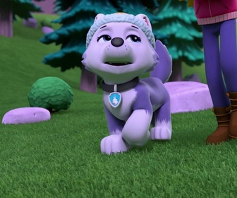 Paw Patrol, la Pat'Patrouille - Une chatte citadine