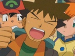 Pokémon Pokémon