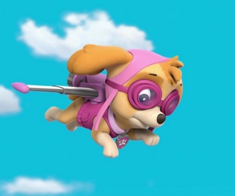 Paw Patrol, la Pat'Patrouille - L'aigle à la patte ficelée