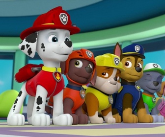 Paw Patrol, la Pat'Patrouille - La Pat'Patrouille contre le tartouragan