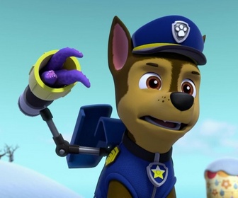 Paw Patrol, la Pat'Patrouille - Des ours dans la ville