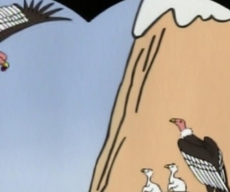 Barbapapa autour du monde - S01 E07 - Les lamas