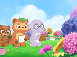Taki Tanuki
