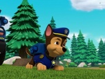 Paw Patrol, la Pat'Patrouille