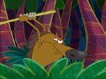 Zig et Sharko