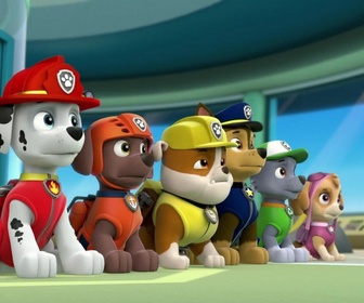 Paw Patrol, la Pat'Patrouille - Le bébé chauve-souris