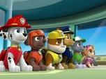 Paw Patrol, la Pat'Patrouille Paw Patrol, la Pat'Patrouille