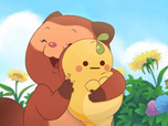 Taki Tanuki Taki Tanuki