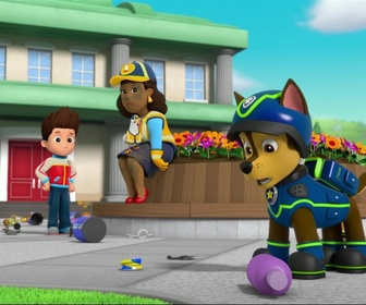 Paw Patrol, la Pat'Patrouille - Des chatons qui sèment la pagaille