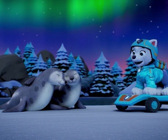 Paw Patrol, la Pat'Patrouille - Sur la route avec Stella : Voyage en Arctique