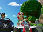 Paw Patrol, la Pat'Patrouille Paw Patrol, la Pat'Patrouille