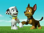 Paw Patrol, la Pat'Patrouille