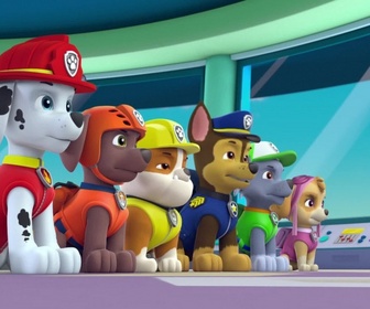 Paw Patrol, la Pat'Patrouille - La journée de l'Amitié - 22'