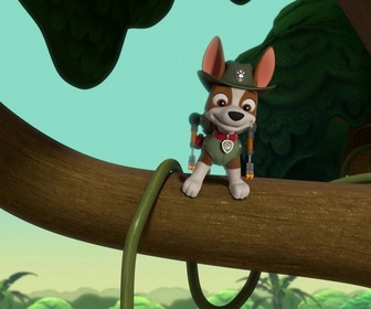Paw Patrol, la Pat'Patrouille - S10 E37 - Une bulle dans la jungle