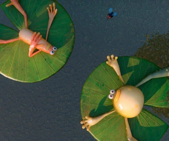 Les as de la jungle à la rescousse - 30/12/2025