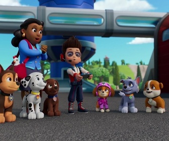 S00 E71 - Compilation Paw Patrol, la Pat'Patrouille 71