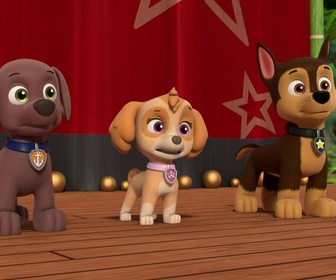 Paw Patrol, la Pat'Patrouille - La danse des flamants roses