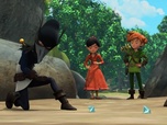 Robin des Bois : Malice à Sherwood