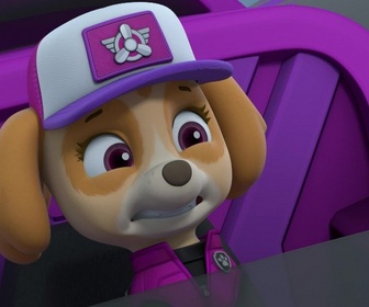 Paw Patrol, la Pat'Patrouille - Mission camion : Le chalet snowboarder