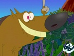 Zig et Sharko