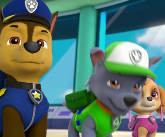 Paw Patrol, la Pat'Patrouille - Alex et sa mini-patrouille