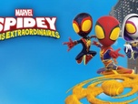 Spidey et ses amis extraordinaires Spidey et ses amis extraordinaires