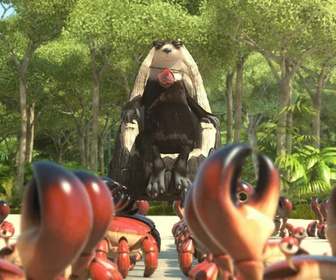 Les as de la jungle à la rescousse - 08/01/2026