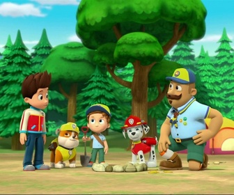 Paw Patrol, la Pat'Patrouille - Alex le louveteau