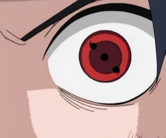 Naruto - S1 E22 - Sasuke contre Lee