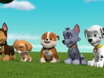Paw Patrol, la Pat'Patrouille