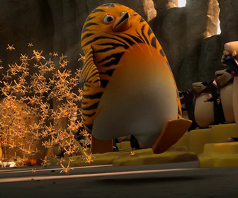 Les as de la jungle à la rescousse - 28/12/2025