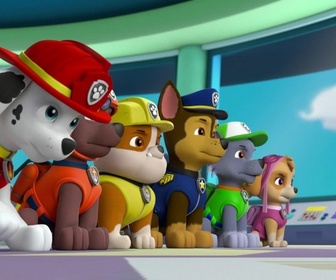 Paw Patrol, la Pat'Patrouille - Le disque volant