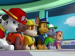 Paw Patrol, la Pat'Patrouille