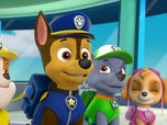 Paw Patrol, la Pat'Patrouille Paw Patrol, la Pat'Patrouille