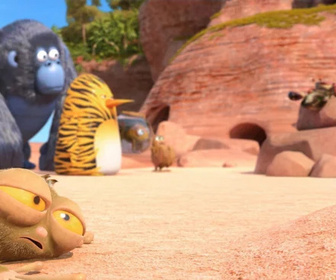 Les as de la jungle à la rescousse - 10/03/2026