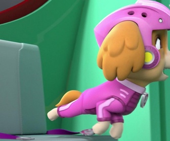 Paw Patrol, la Pat'Patrouille - Du Surf en plein ciel