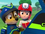 Paw Patrol, la Pat'Patrouille